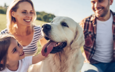 Nuevo Año, Nueva Vida: Cómo Preparar tu Hogar para una Adopción Responsable